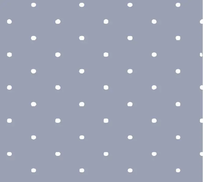 D877 (4).webp