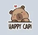 DF06 (1).webp