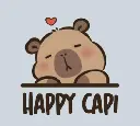 D855 (4).webp