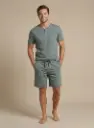 V2610-verde.webp