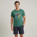 2663-verde.webp
